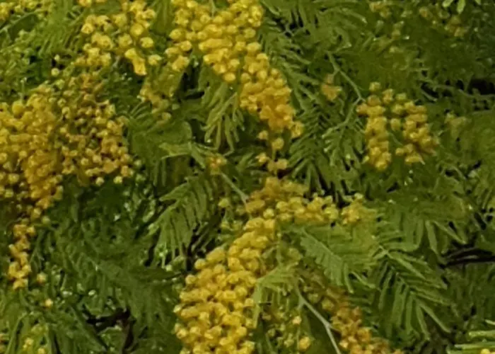 Дом отдыха A 100 M De La *